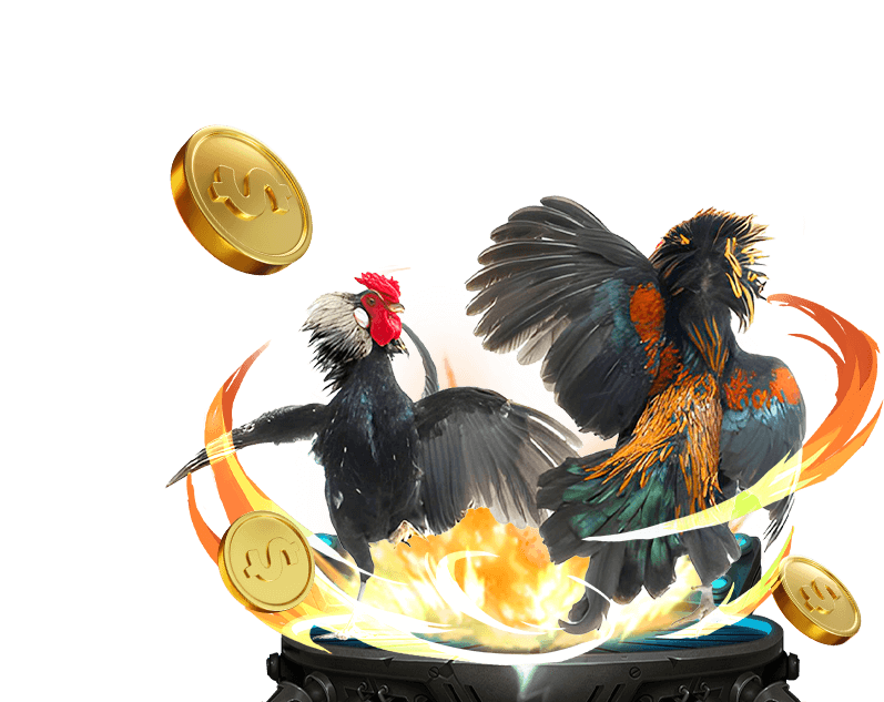 Đá Gà online Xổ Số 66